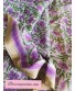 Purple Kota Doria Floral Hand Block Print Saree