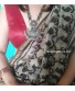 Brown Block Print Ambi Saree